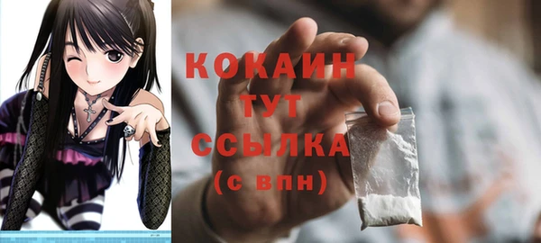 гидра Абаза