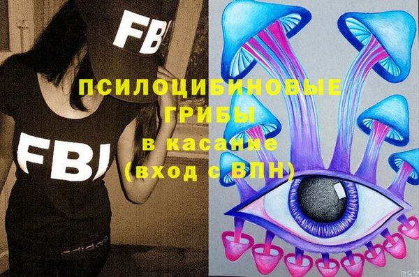сатива Алексеевка