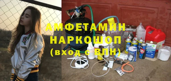 гидра Абаза