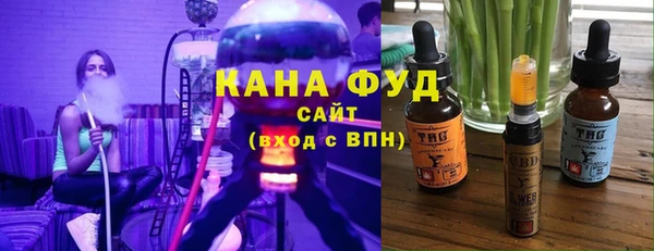 гидра Абаза